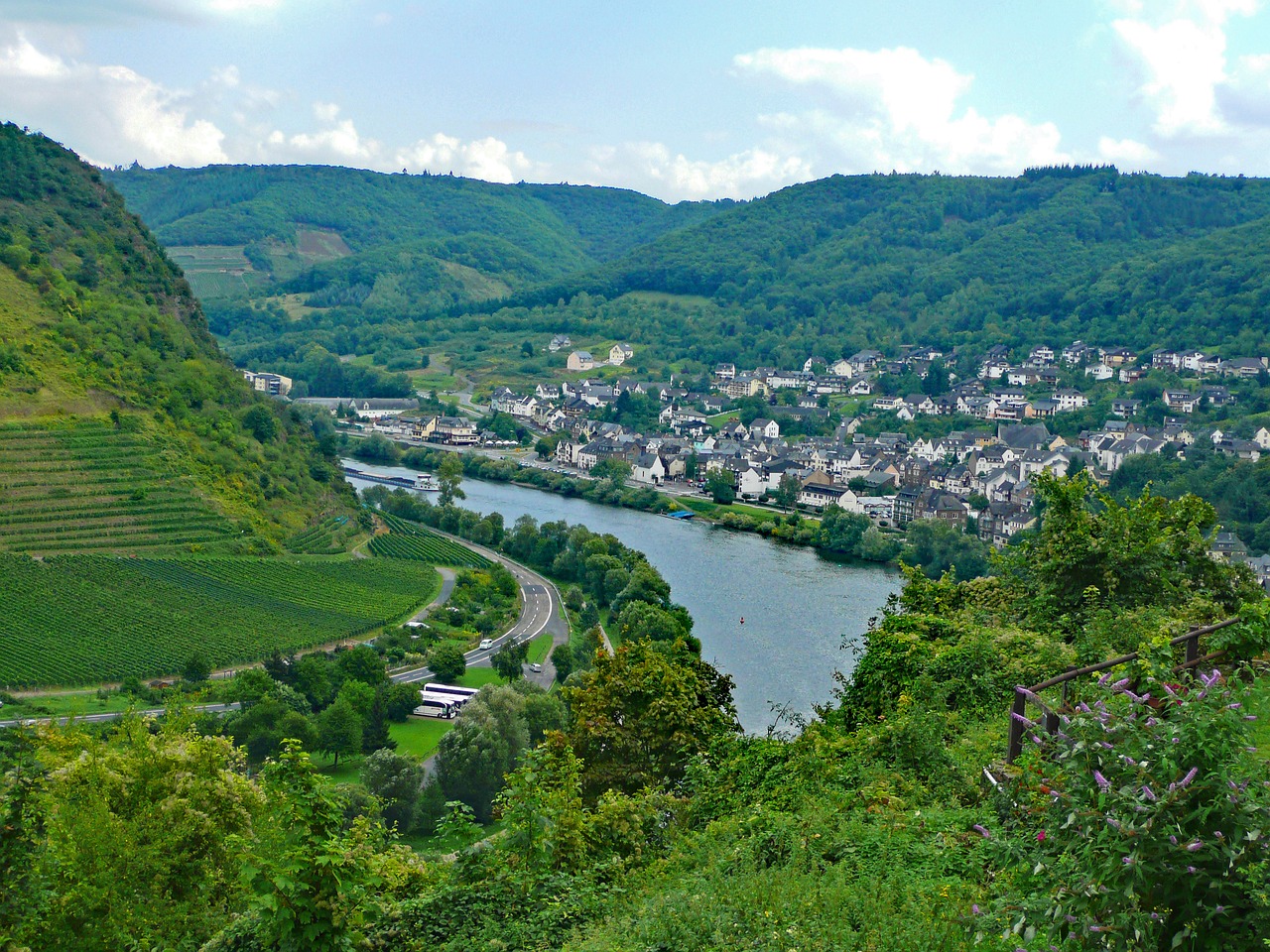 cochem mosel sachsen free photo