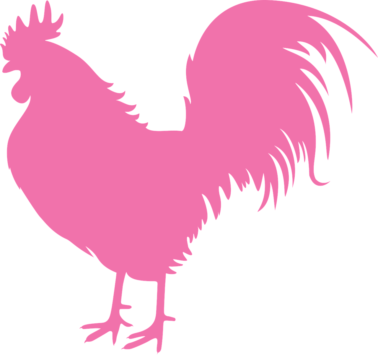 cock new year vector symbol free photo