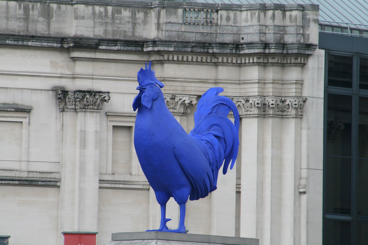 cock london blue free photo