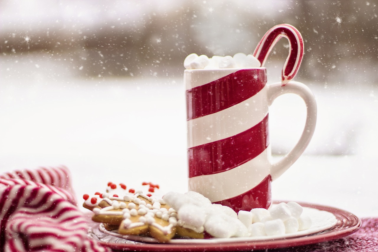 cocoa hot chocolate candy cane free photo