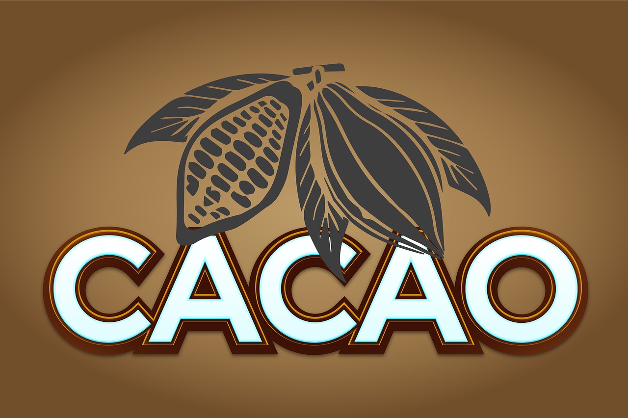 cocoa  fruit  chocolate free photo
