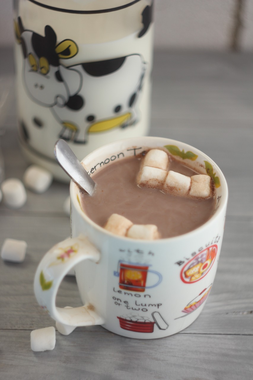 cocoa marshmallows drinks free photo