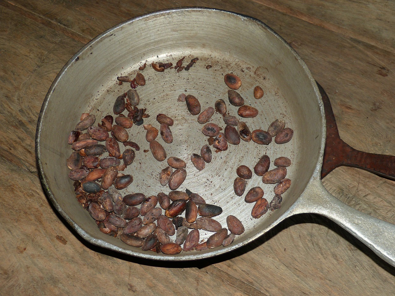 cocoa beans cocoa chocolate free photo