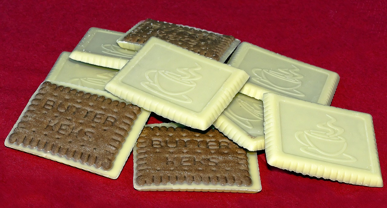 cocoa butter biscuit biscuit chocolate free photo