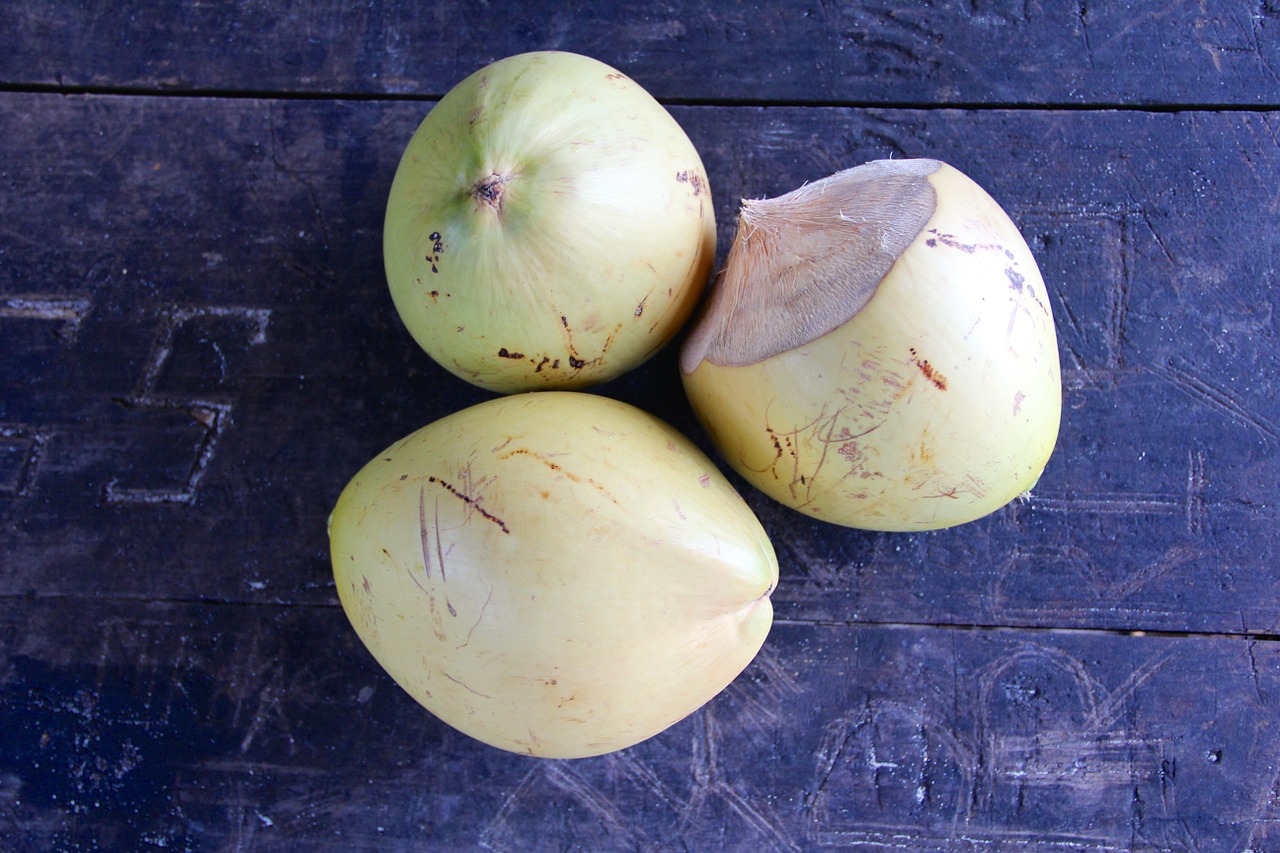 coconut seychelles coconut tree free photo