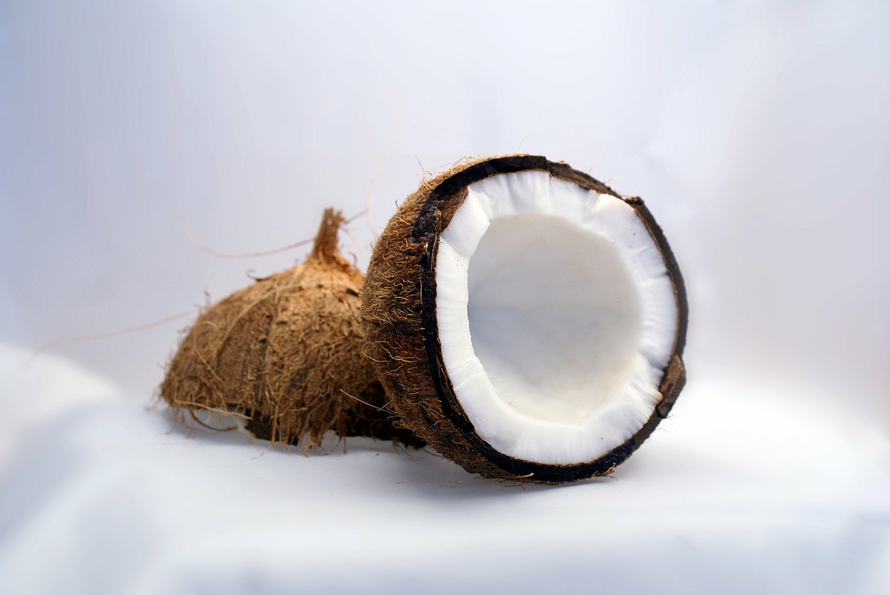coconut coconuts exotic free photo