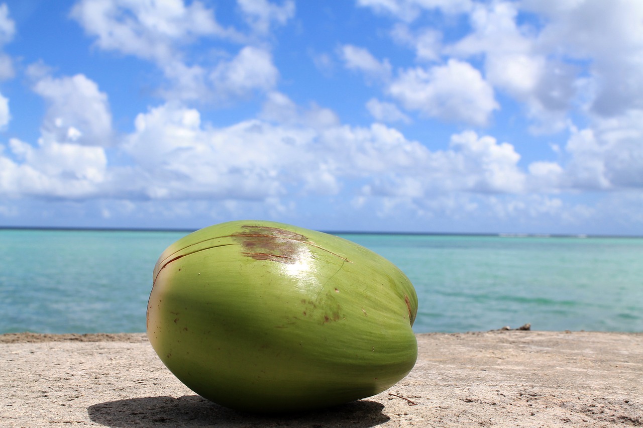 coconut guam sky free photo