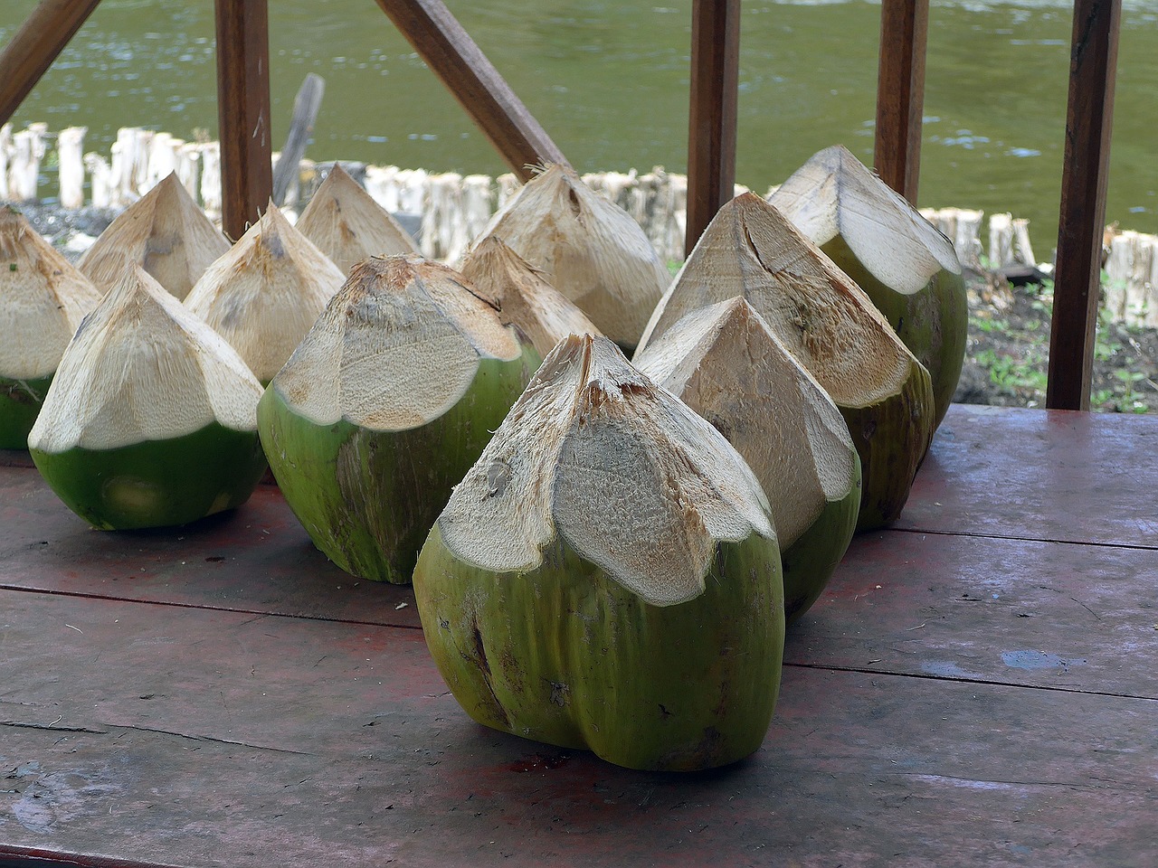 coconut water travel free photo