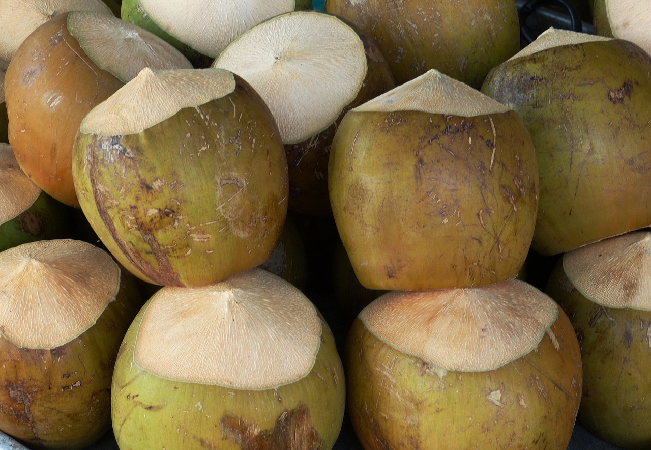 coconut nut healthy free photo