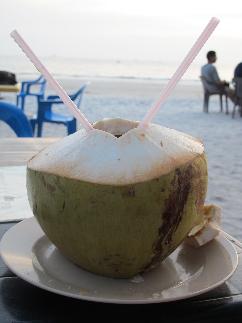 coconut beach malaysia free photo