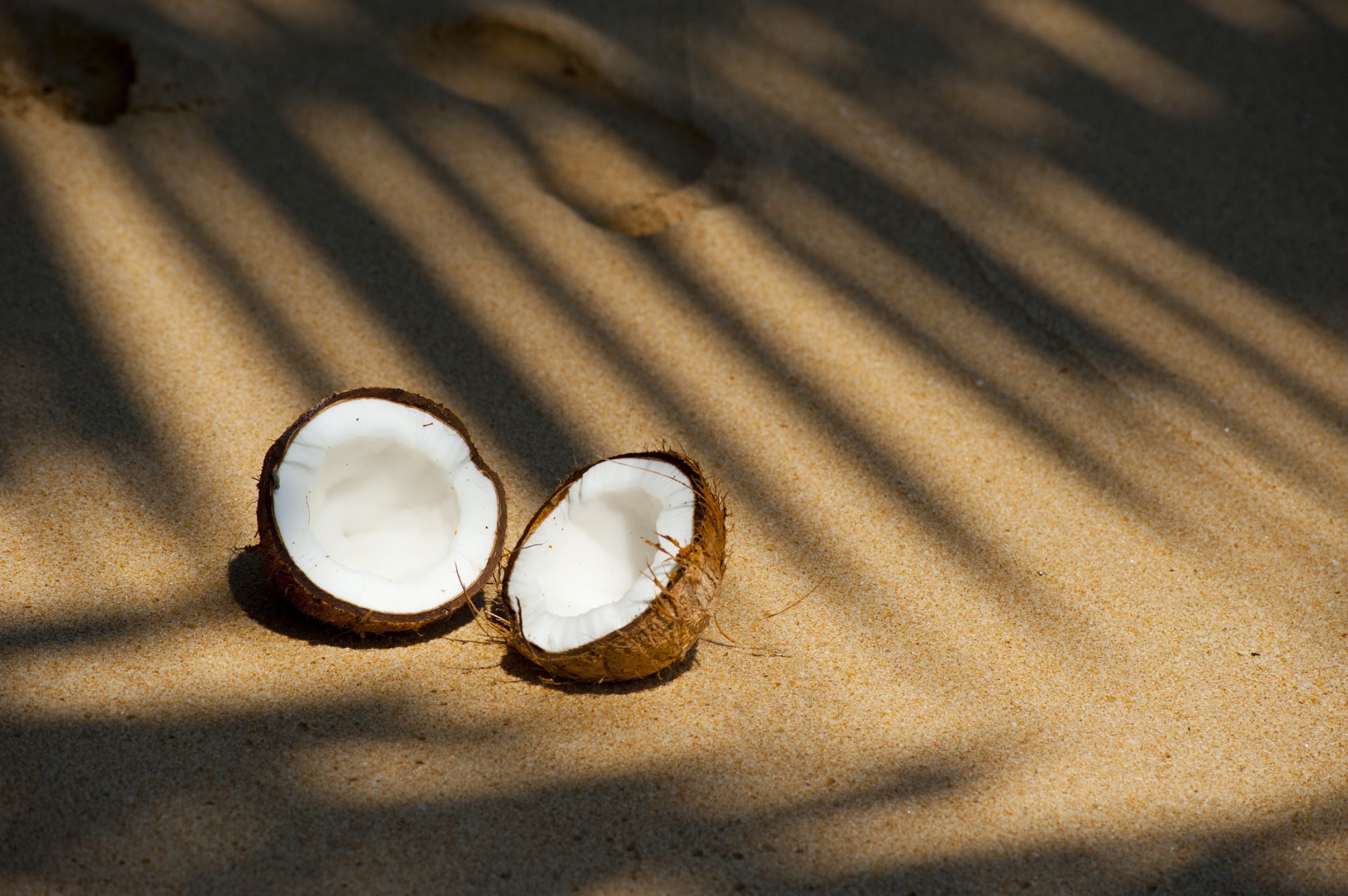coconut split open free photo