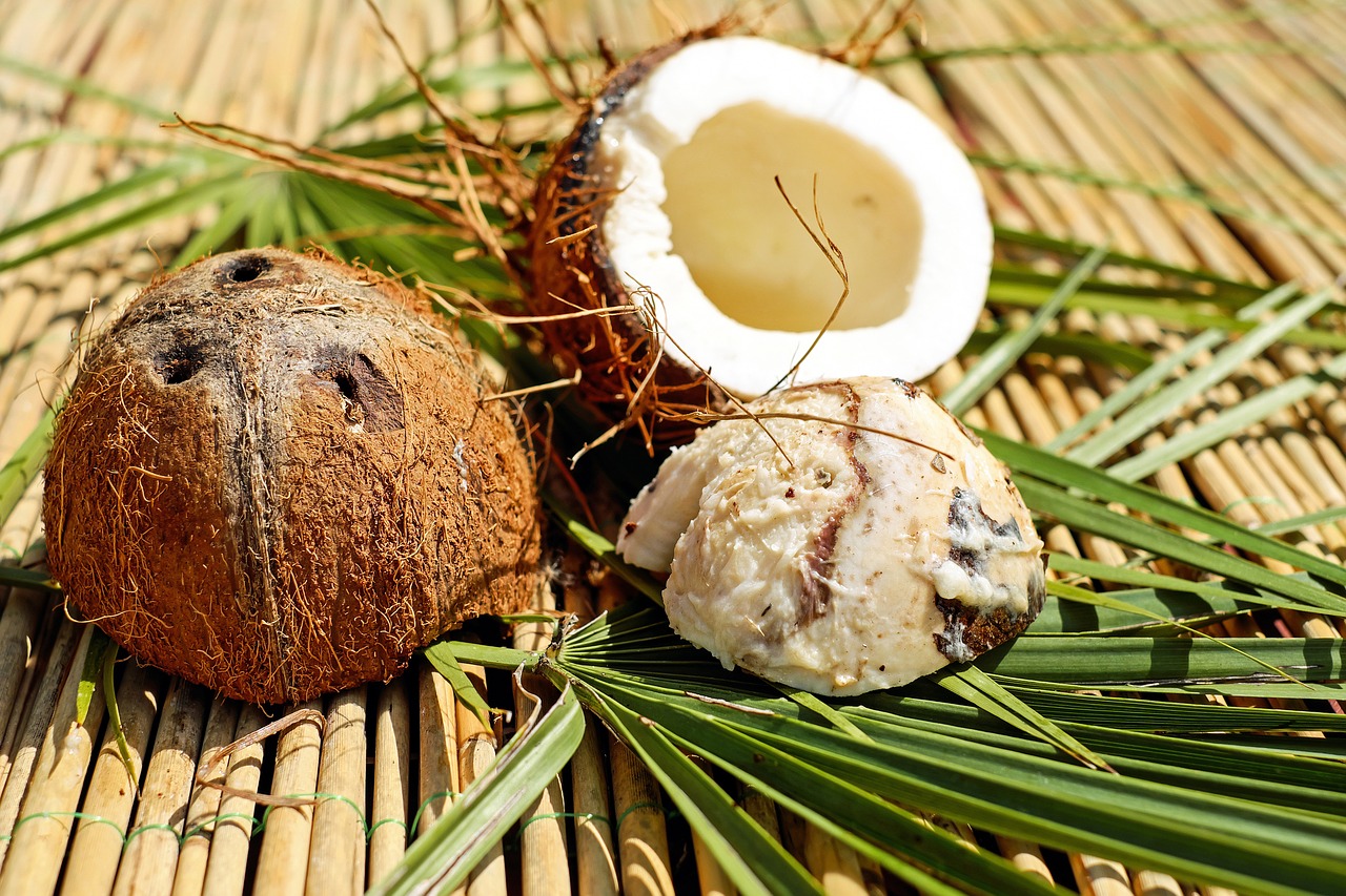 coconut nut shell free photo