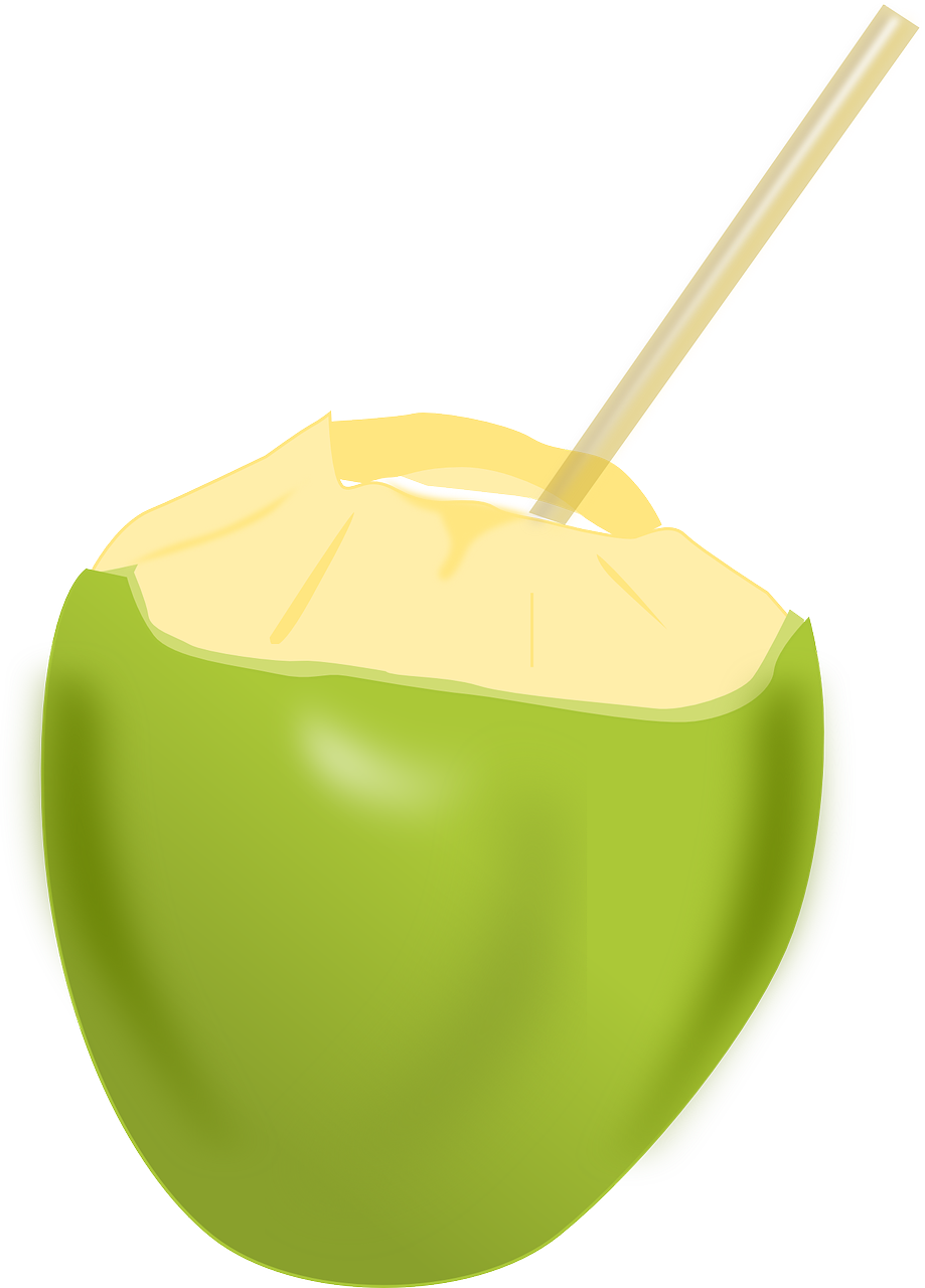 coconut fruit beverage free photo