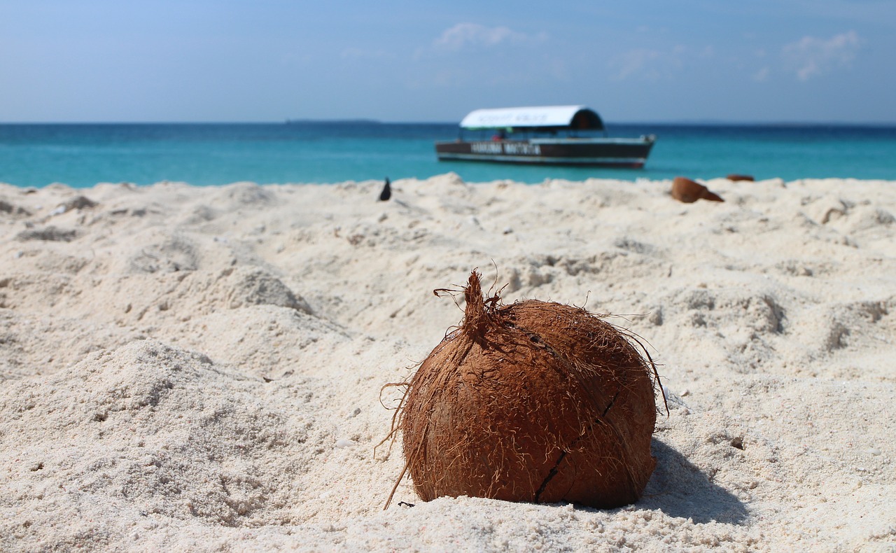 coconut beach sand free photo