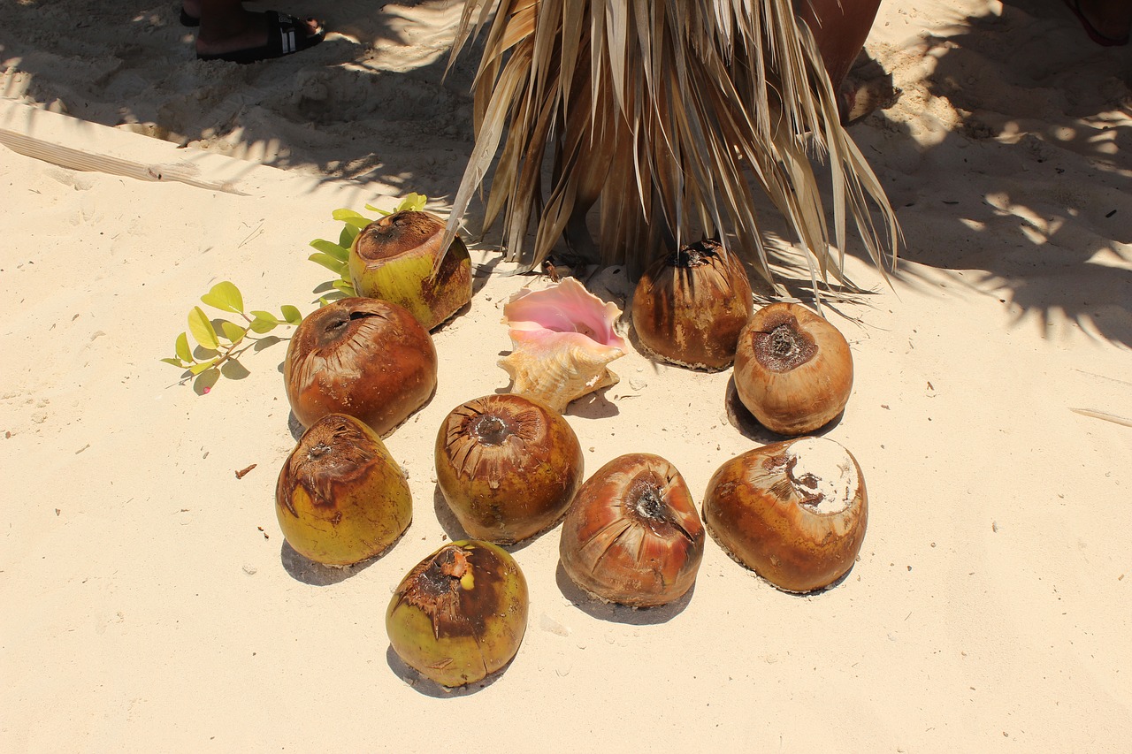 coconut water sand free photo