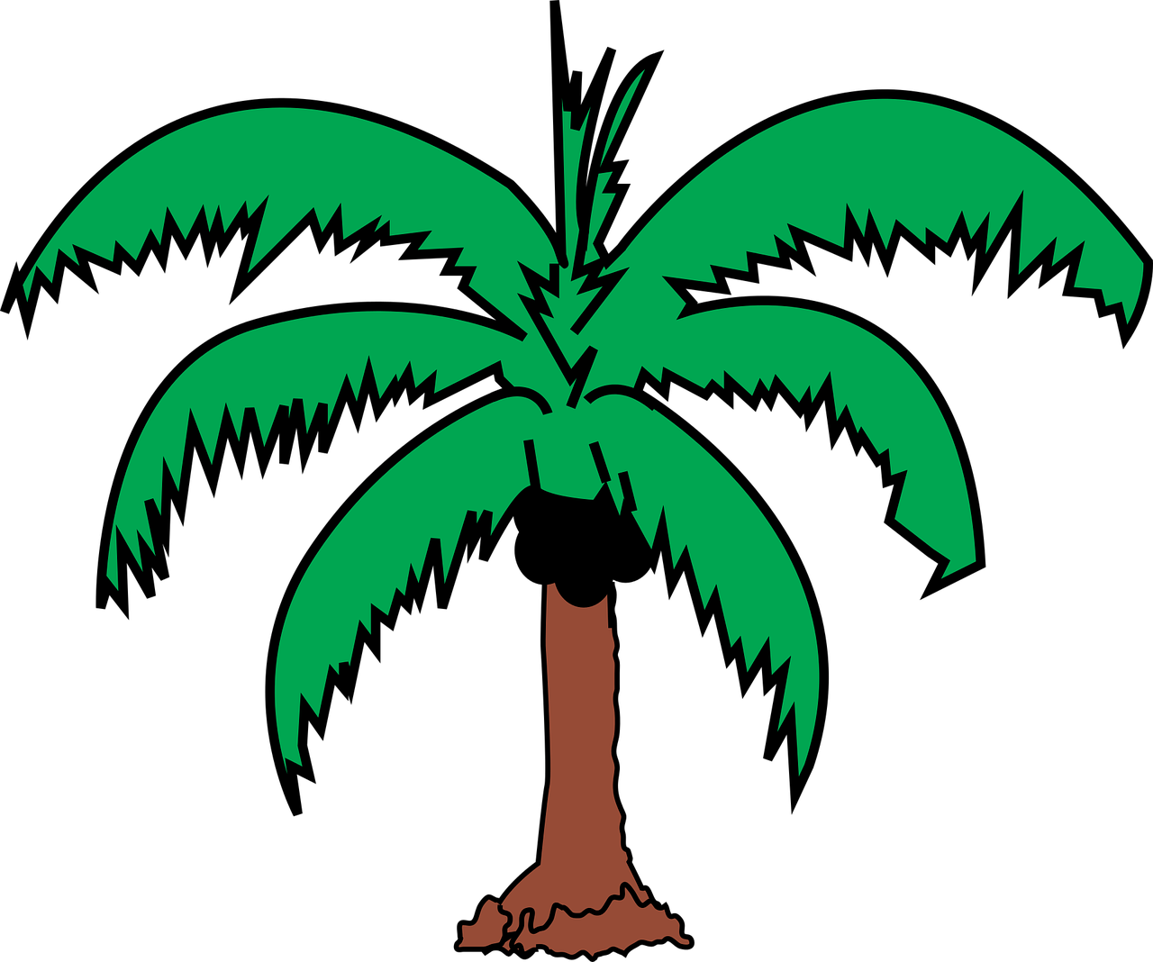 coconut palm plant free photo