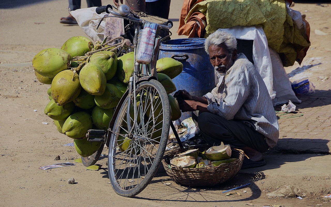 coconut vendor bicycle free photo