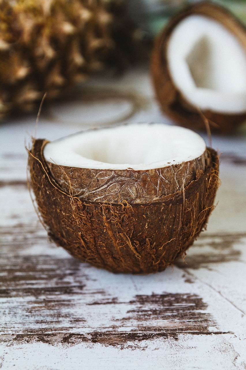 coconut shell coconut oil free photo