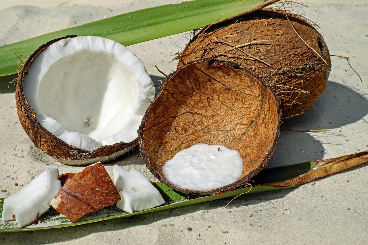 coconut nut shell free photo