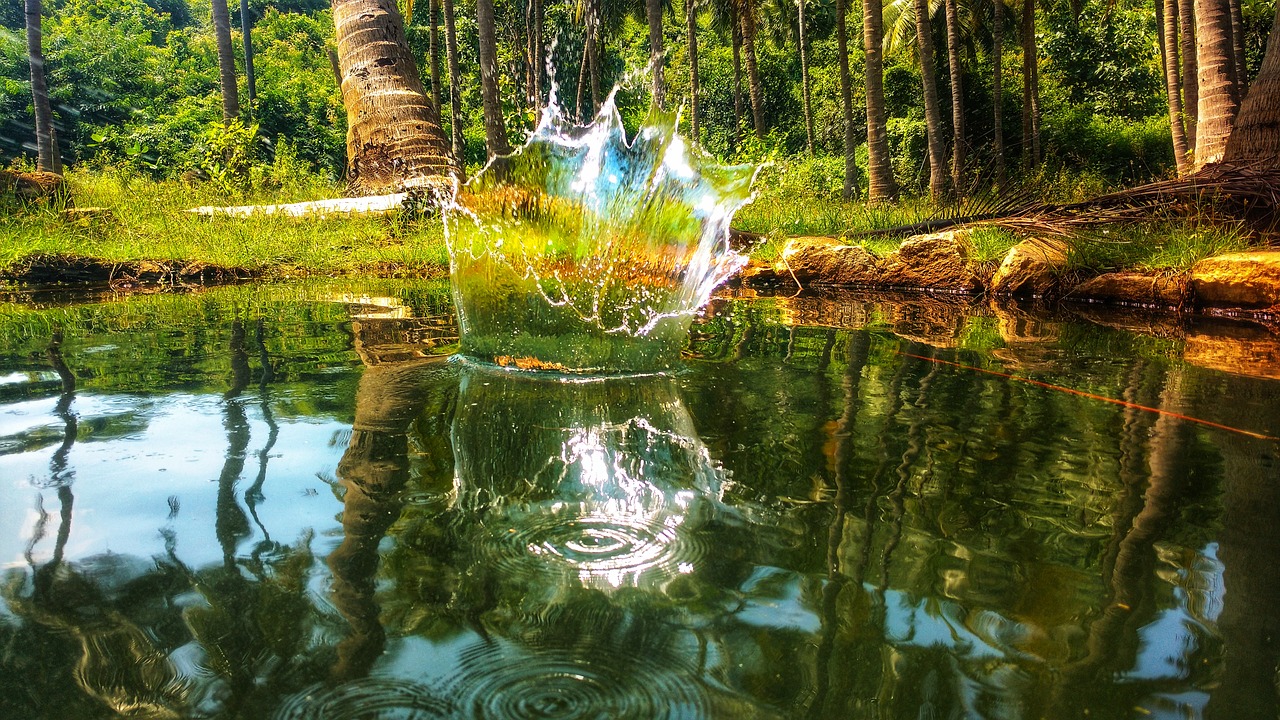 coconut water wall free photo