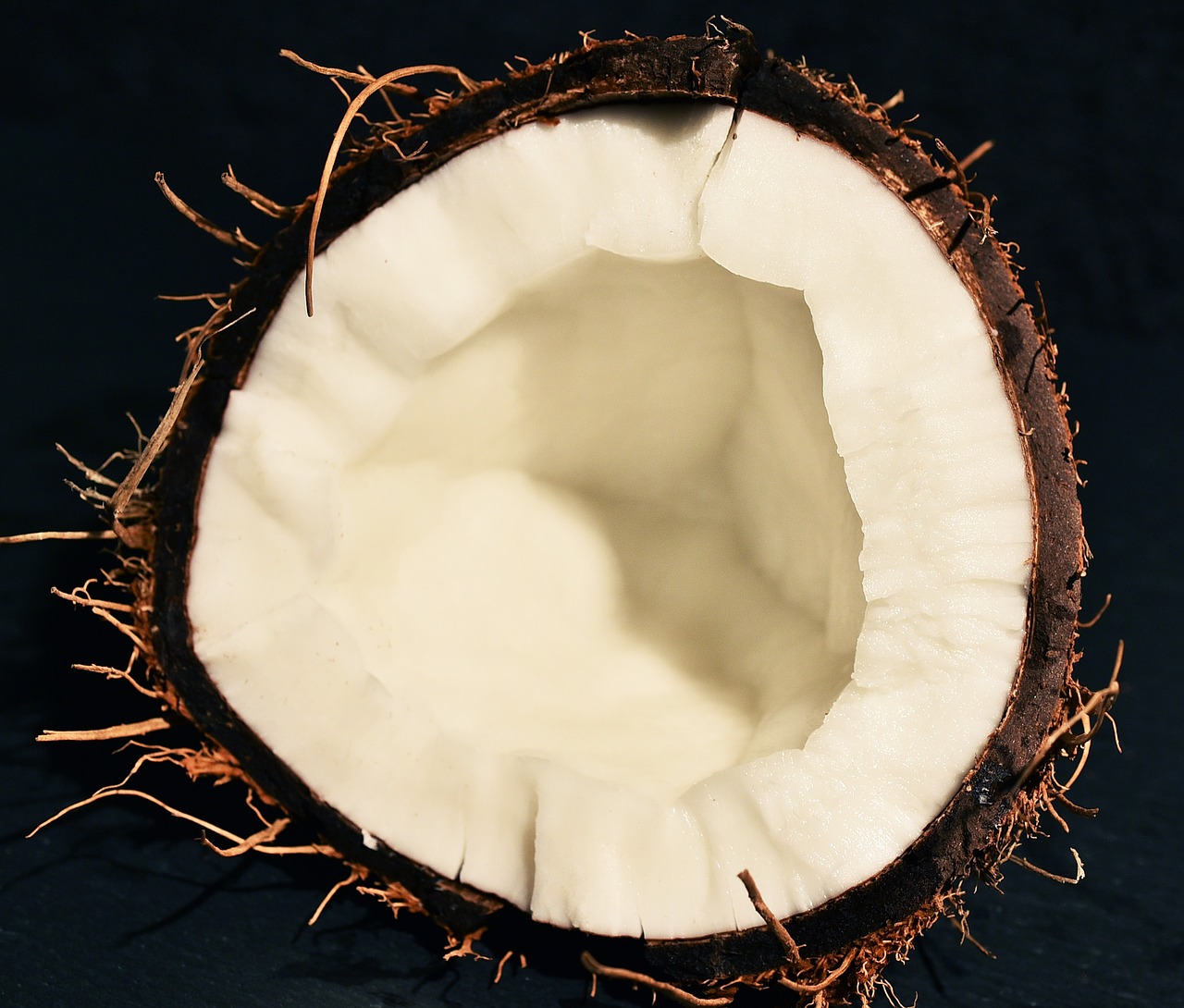 coconut diet fetus free photo