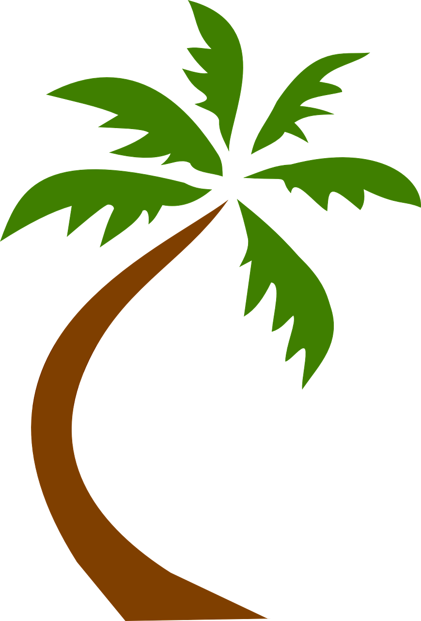 coconut tree tropical free photo