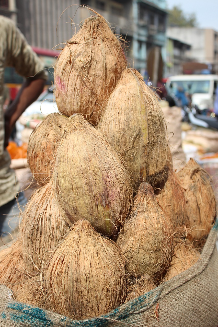 coconut  nariyal  indian free photo