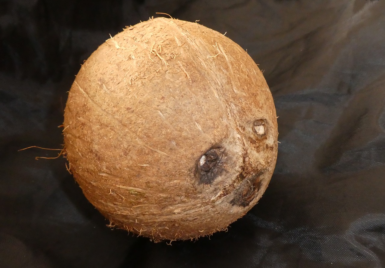 coconut  face  art free photo