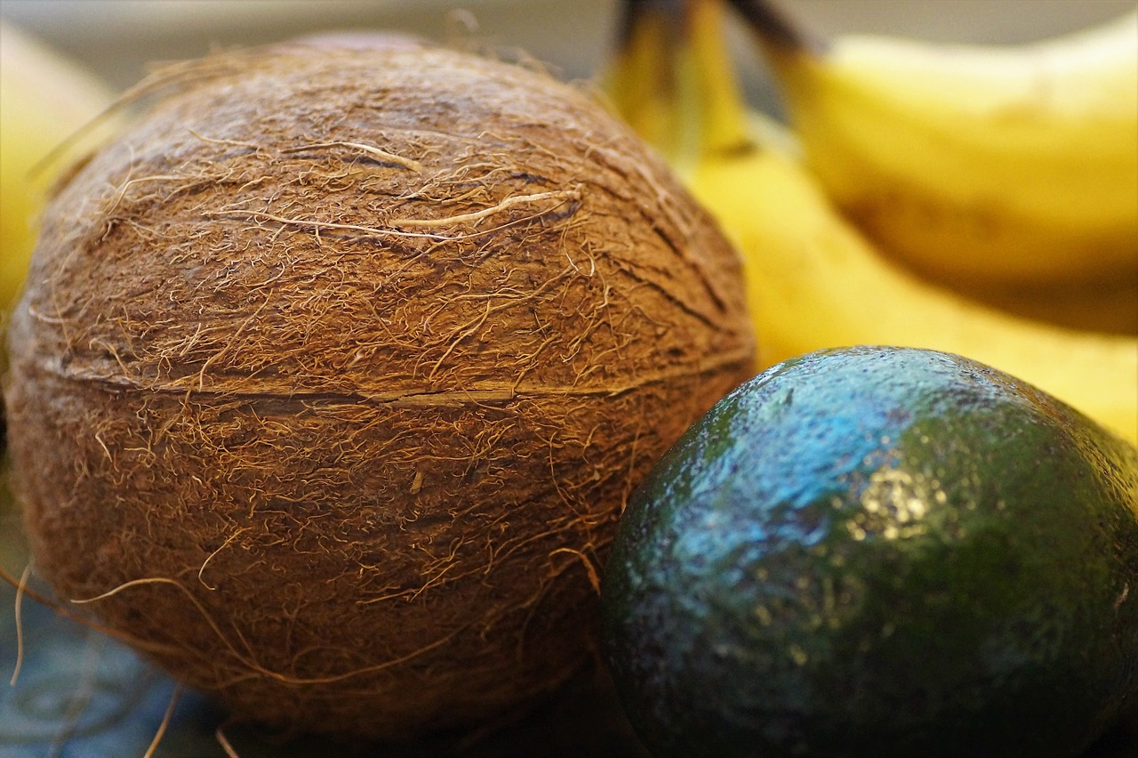 coconut  walnut  tropical free photo