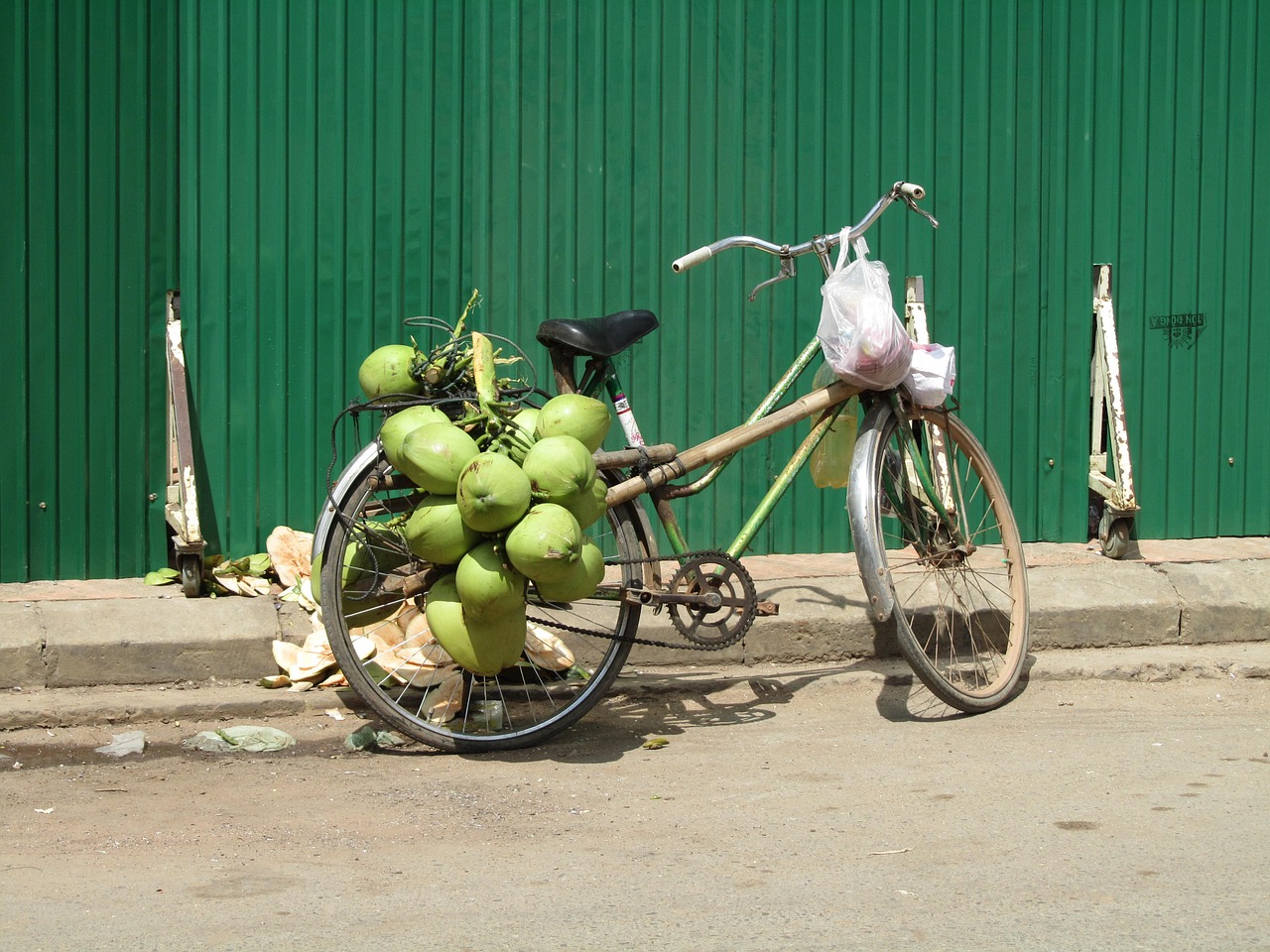 coconut bicycle green free photo