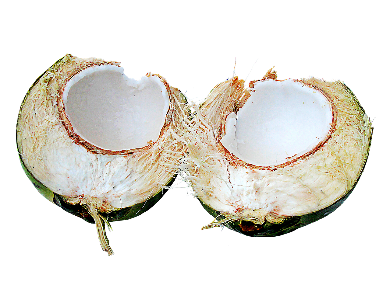 coconut fruit tropical free photo