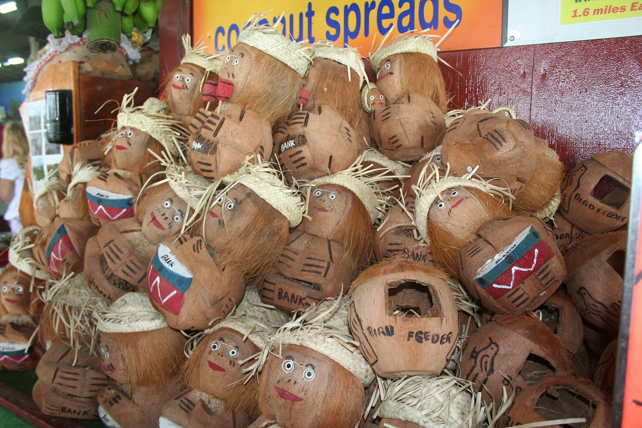 coconut heads hawaii coconut free photo