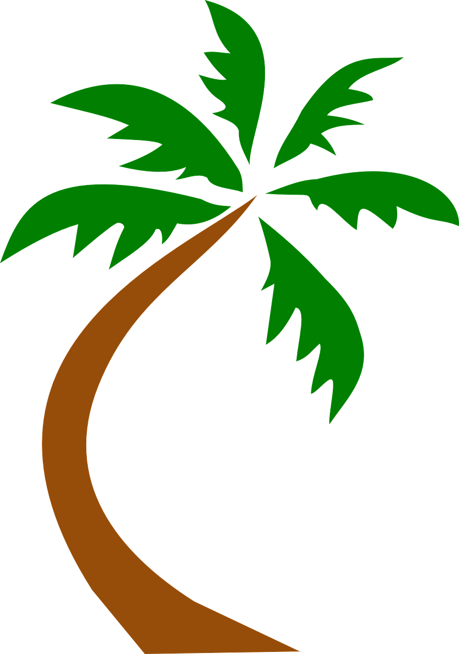coconut palm tree curved free photo