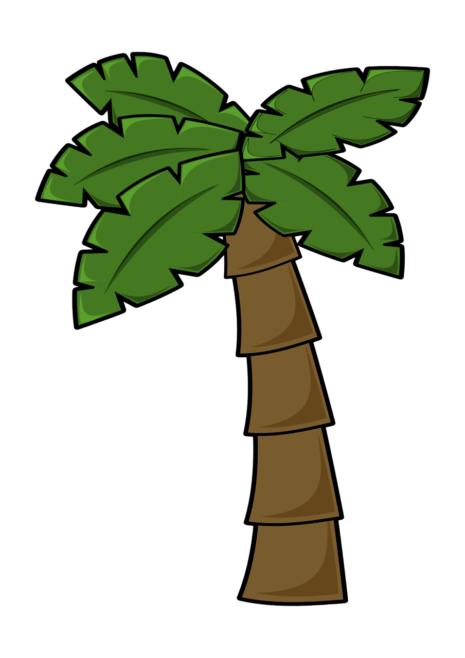 coconut tree jungle jungle leaf free photo