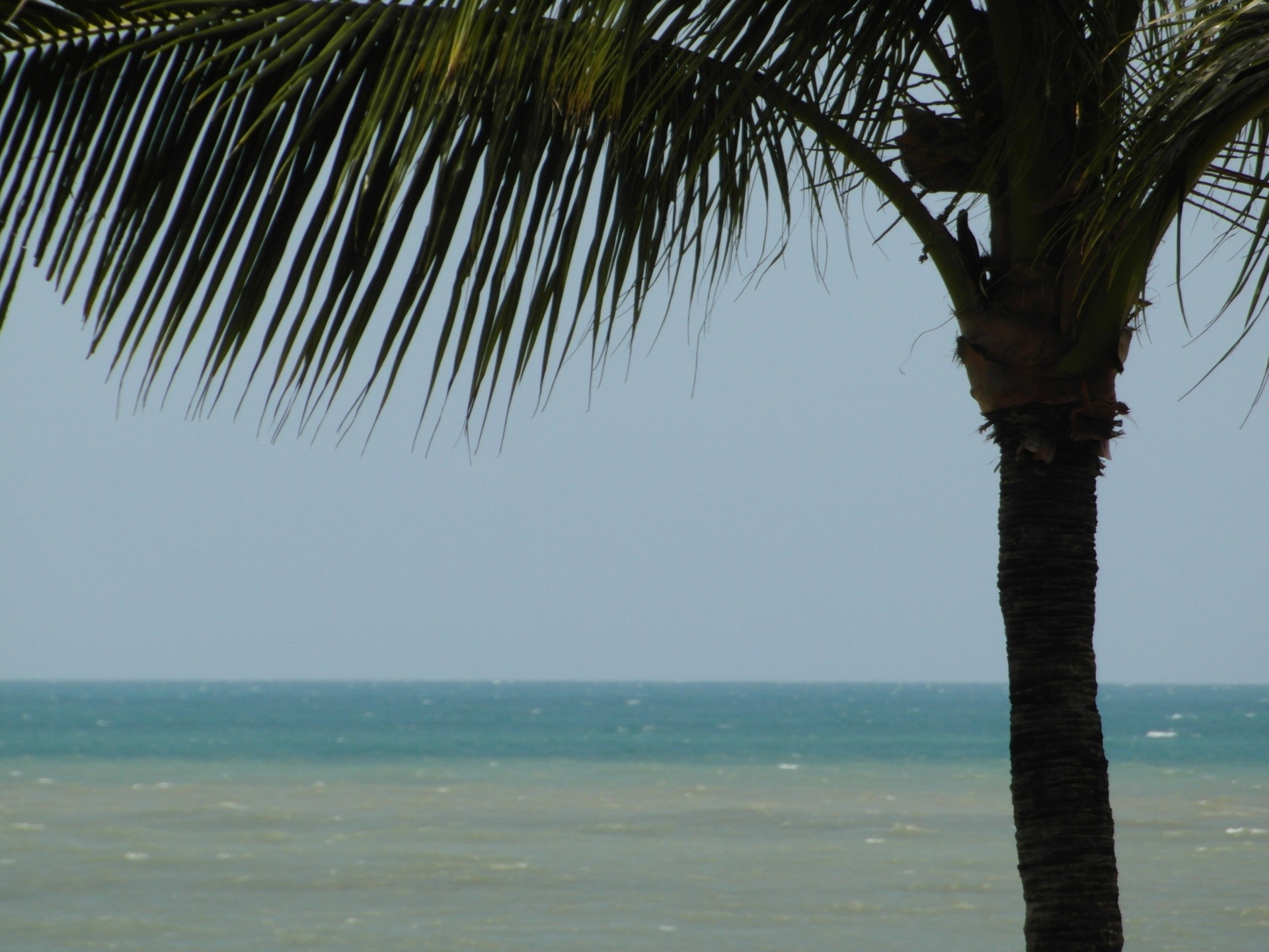 atlantic background beach free photo