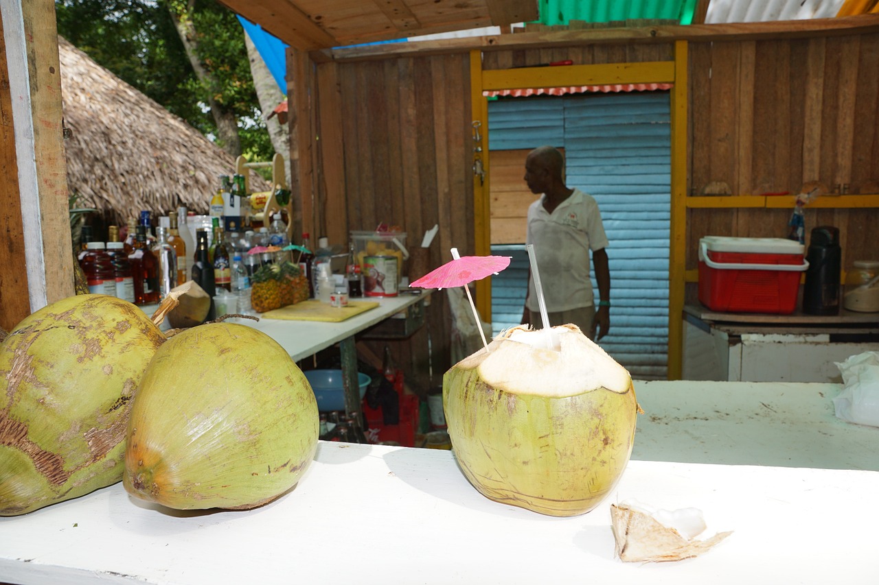 coconuts caribbean drink free photo