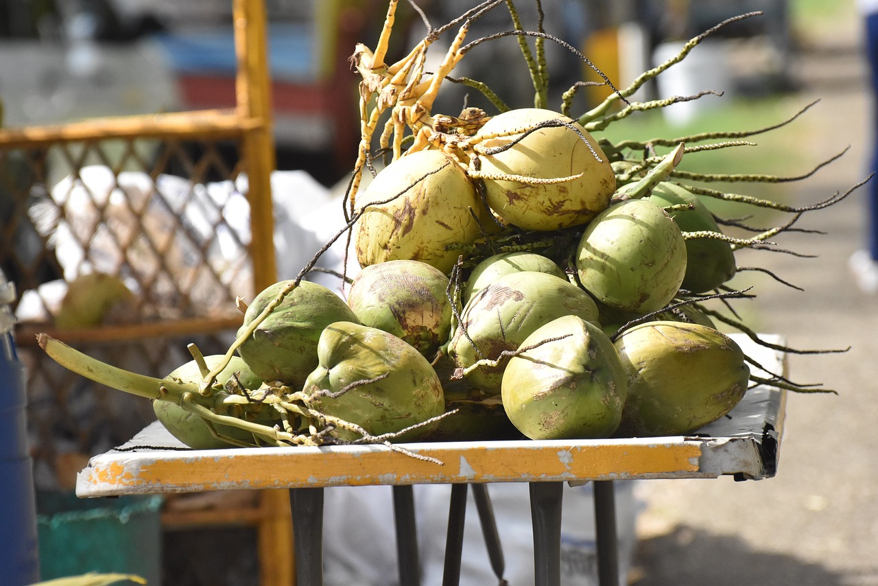 coconuts vendor raw free photo