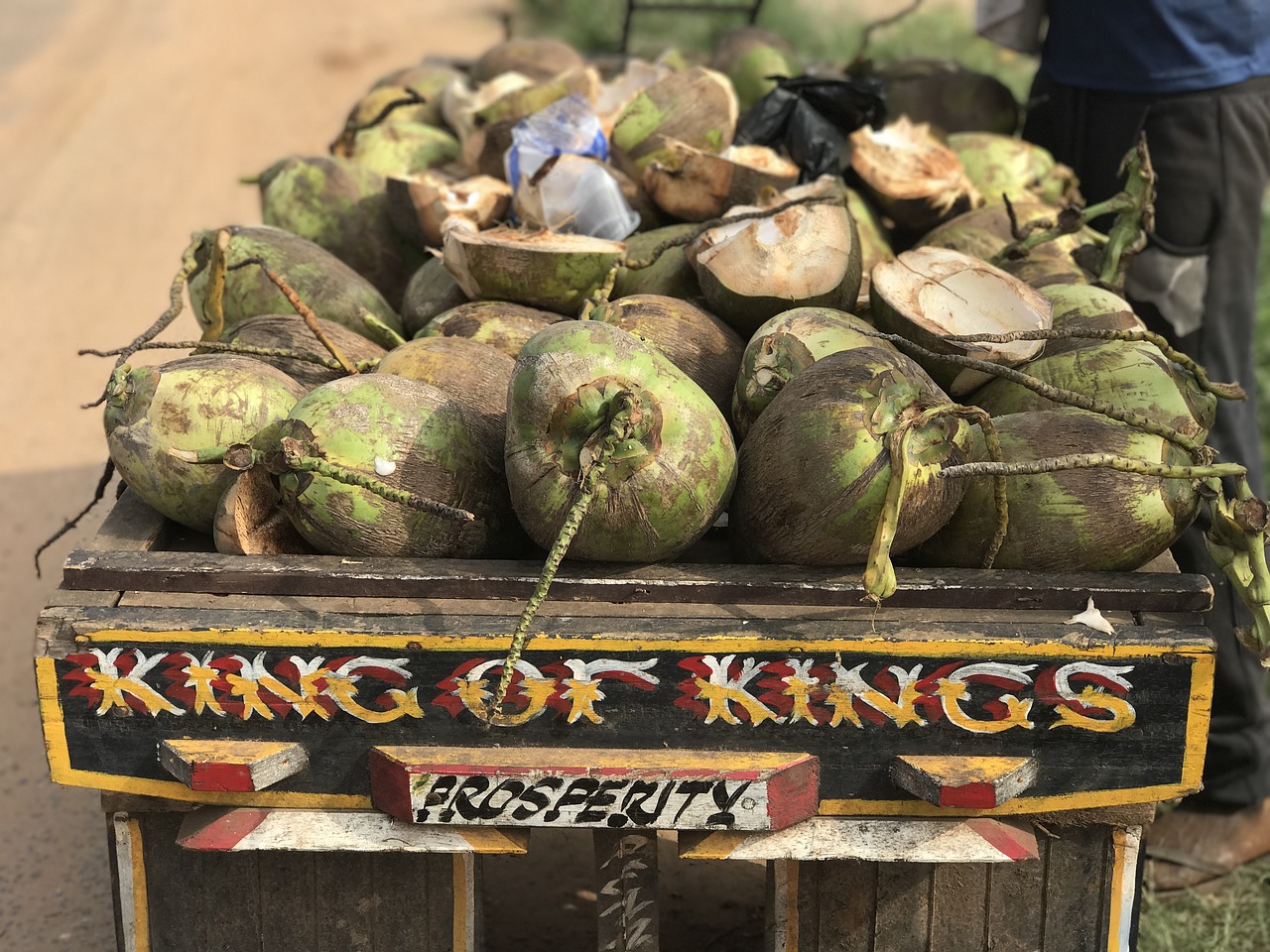 coconuts ghana st free photo