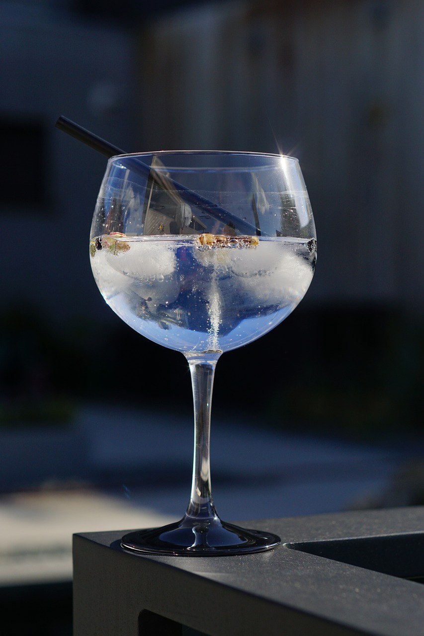 coctail gin tonic summer free photo