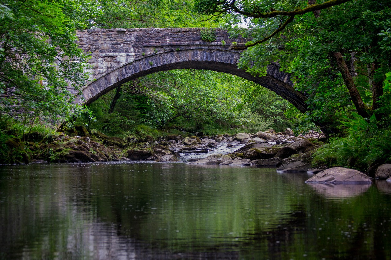 coed y brenin bridge landscape free photo