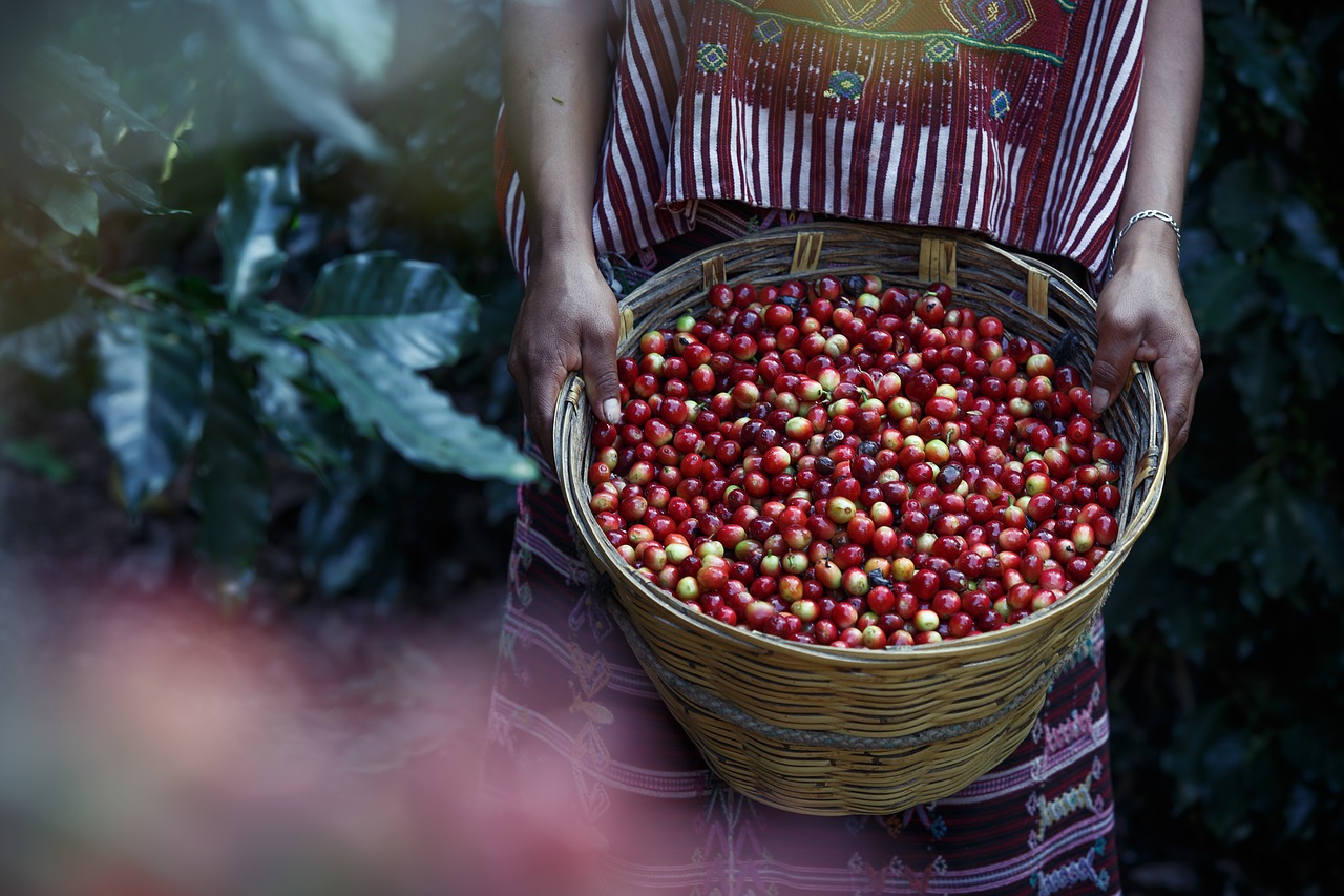 coffe coffee coffee beans free photo