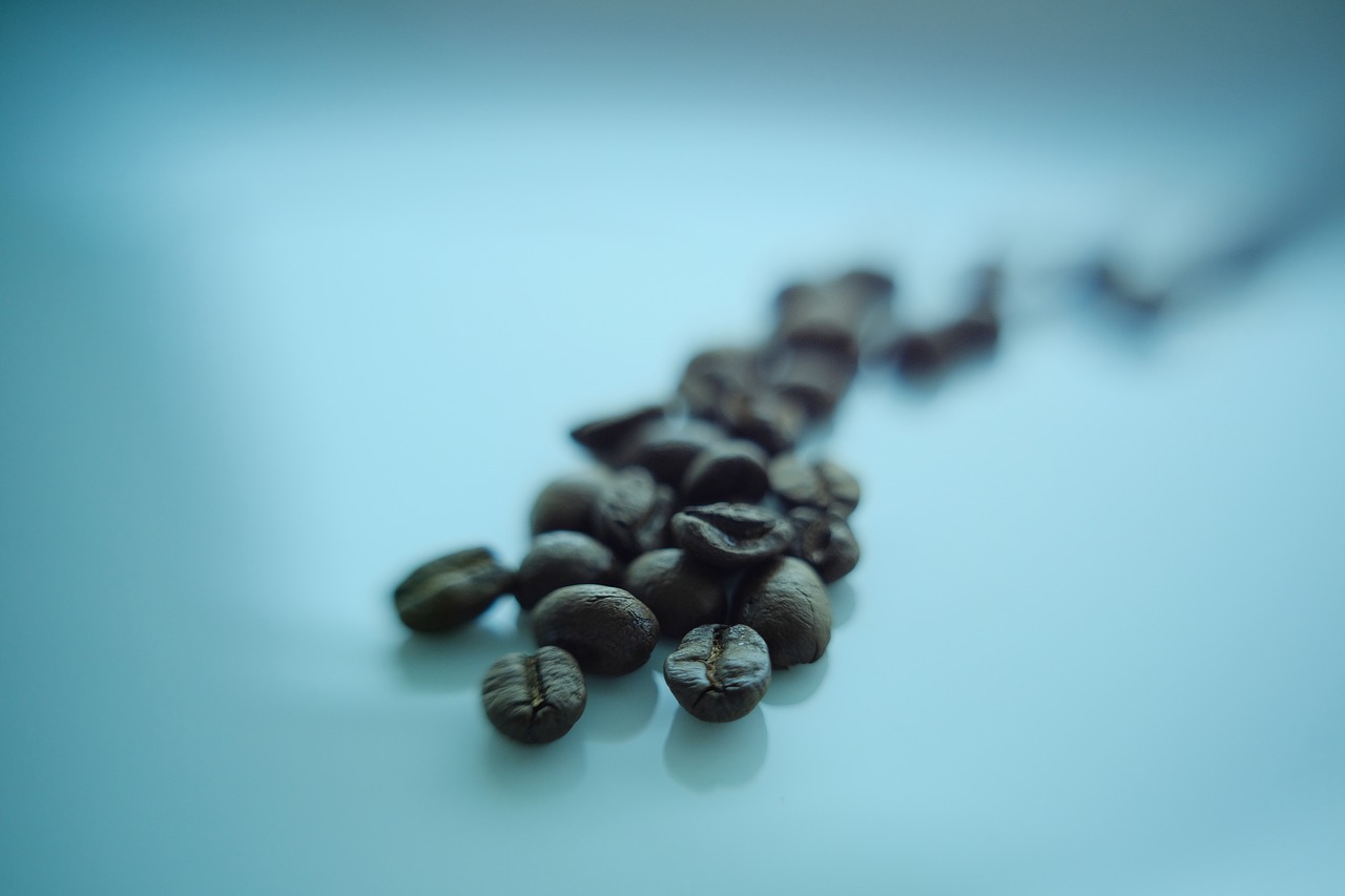 coffe  bean  coffee free photo