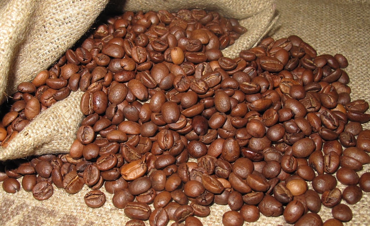 coffee grain arabica free photo