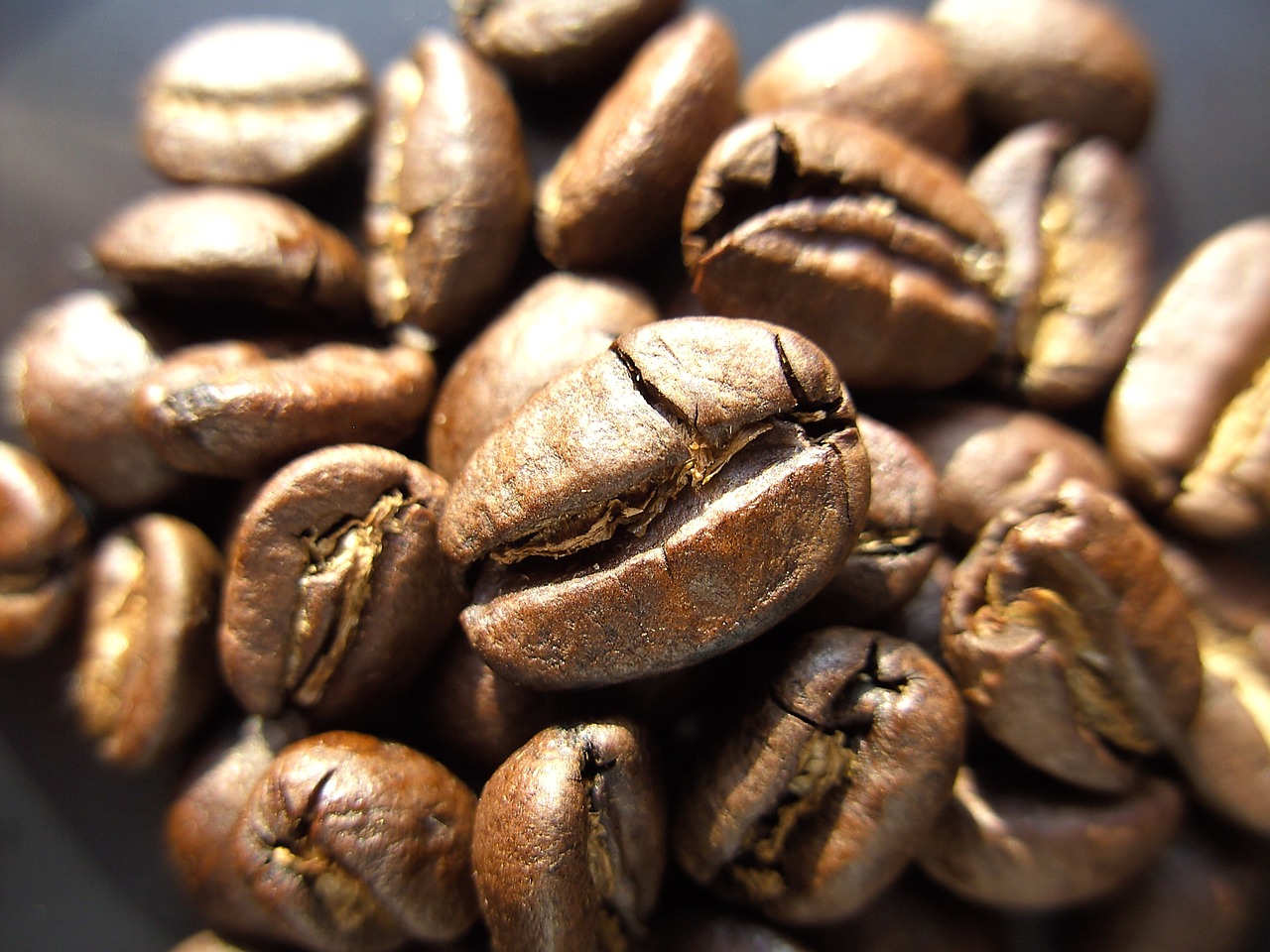 coffee coffee beans free pictures free photo