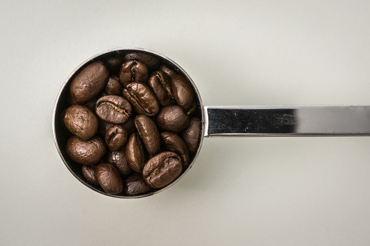 coffee coffee bean bean free photo