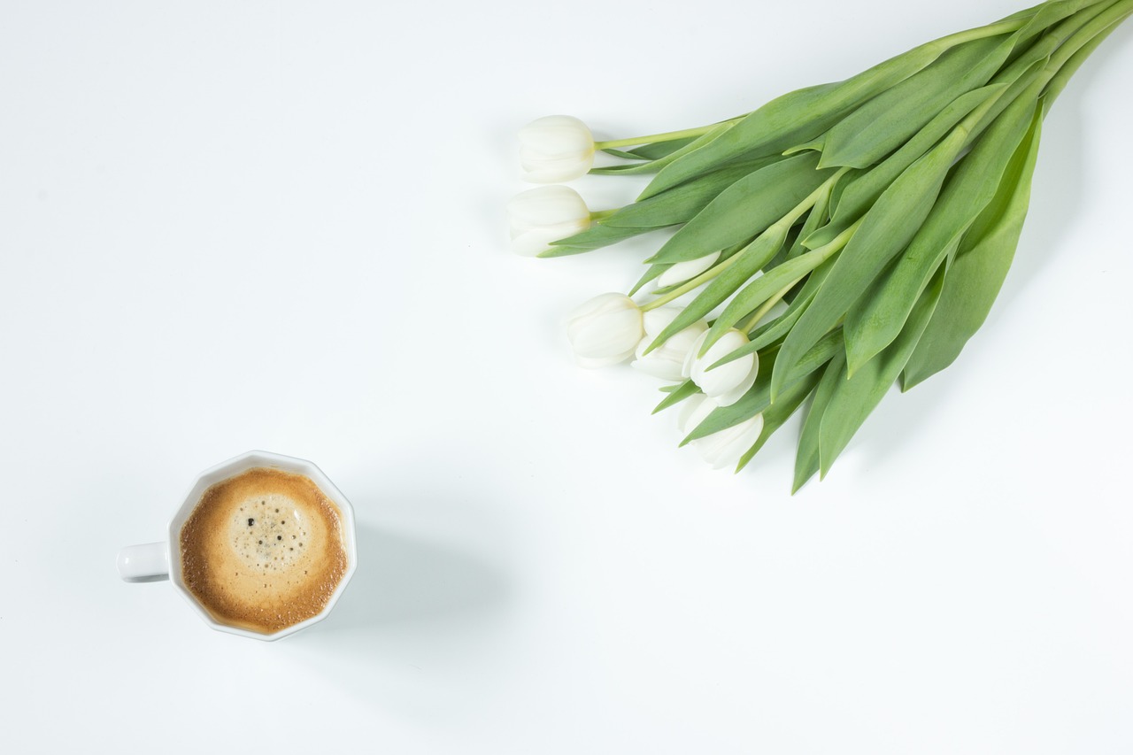 coffee flowers tulips free photo