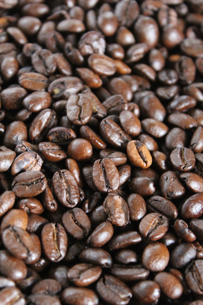 coffee grain coffee beans free photo