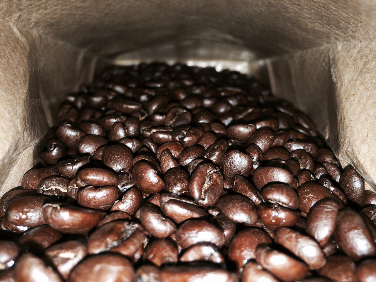 coffee coffee beans roasted free photo