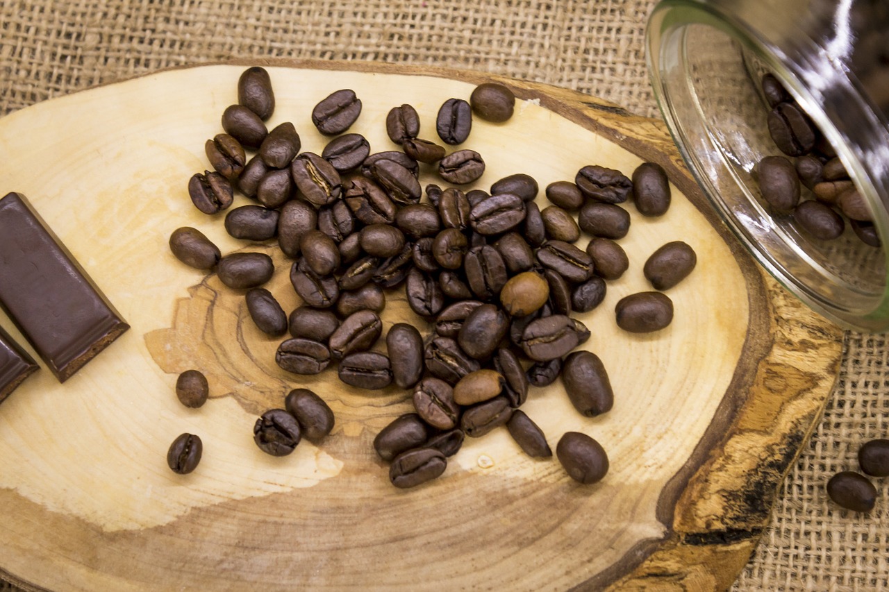 coffee seed coffee seeds free photo