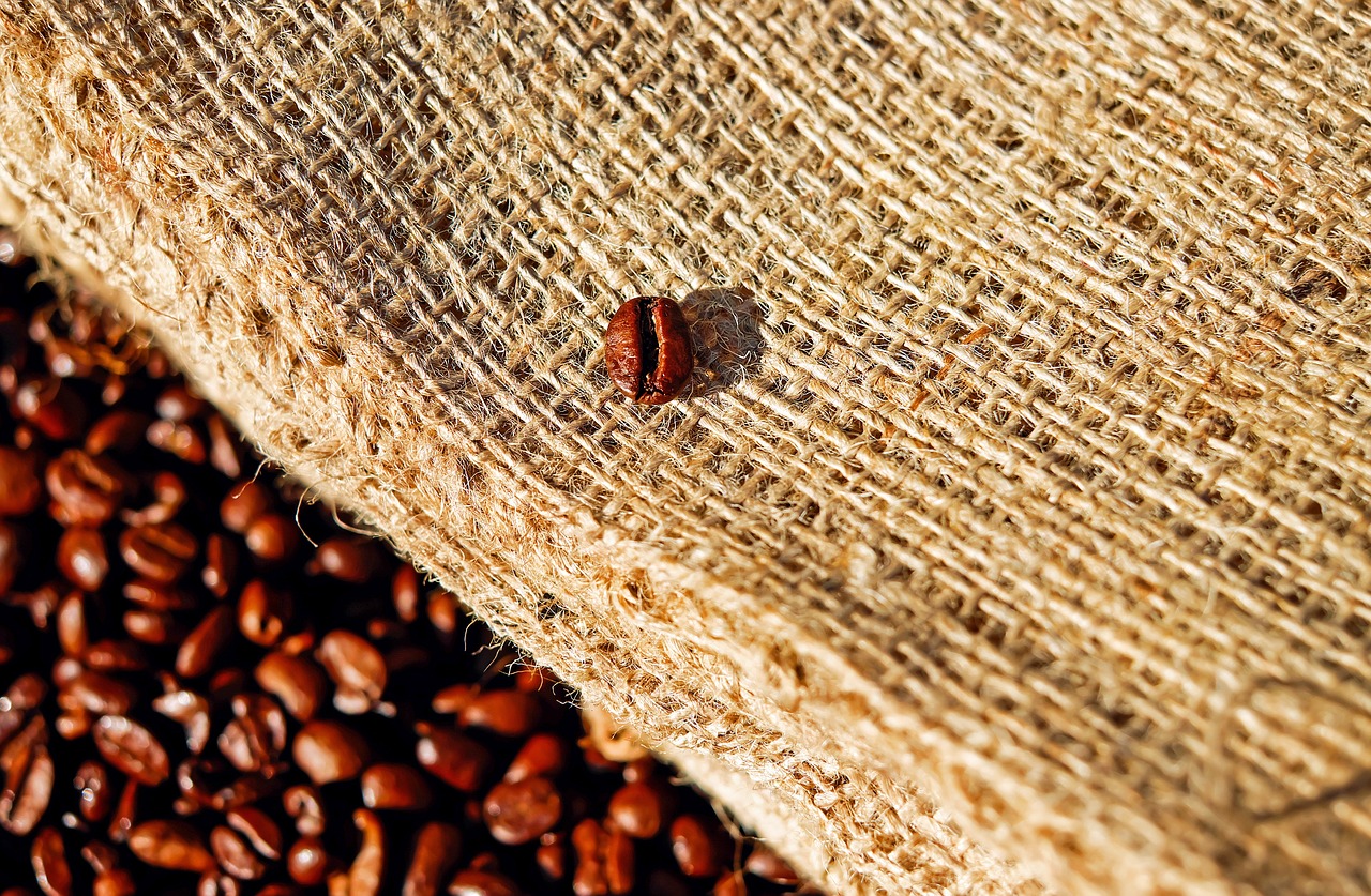 coffee bean coffee bean free photo